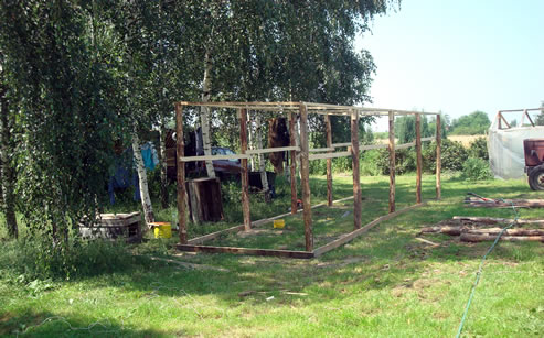 Trzmiele do zapylania