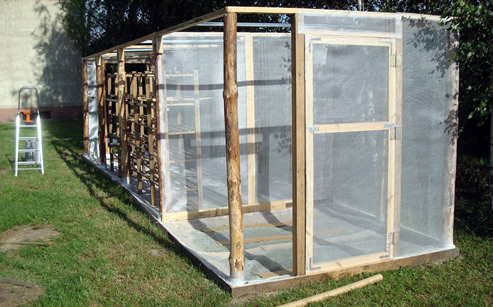 Trzmiele do zapylania