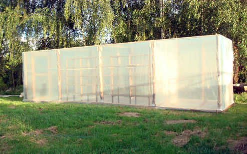 Trzmiele do zapylania