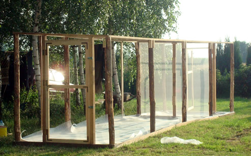 Trzmiele do zapylania