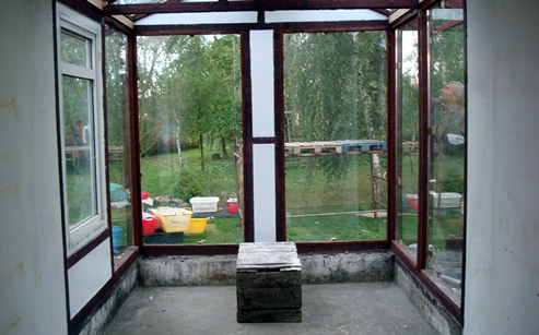 Trzmiele do zapylania