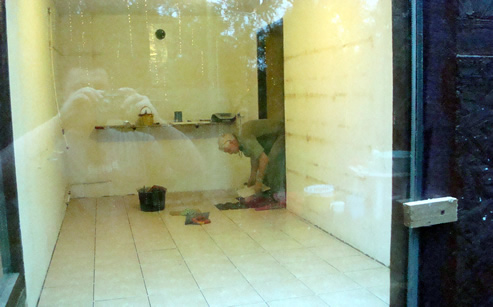 Trzmiele do zapylania