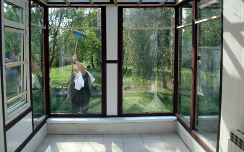 Trzmiele do zapylania