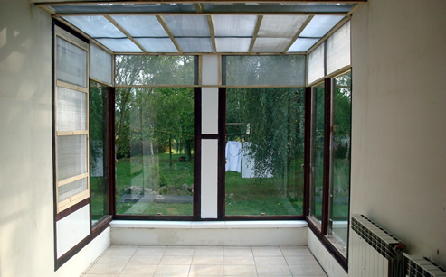 Trzmiele do zapylania