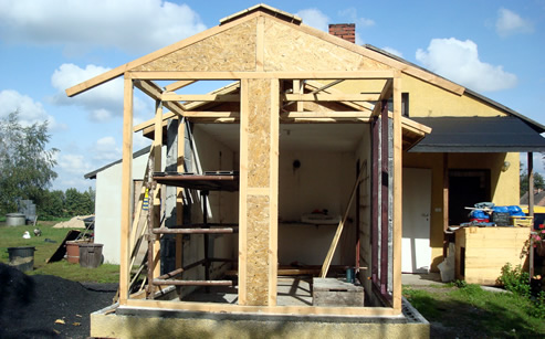 Trzmiele do zapylania