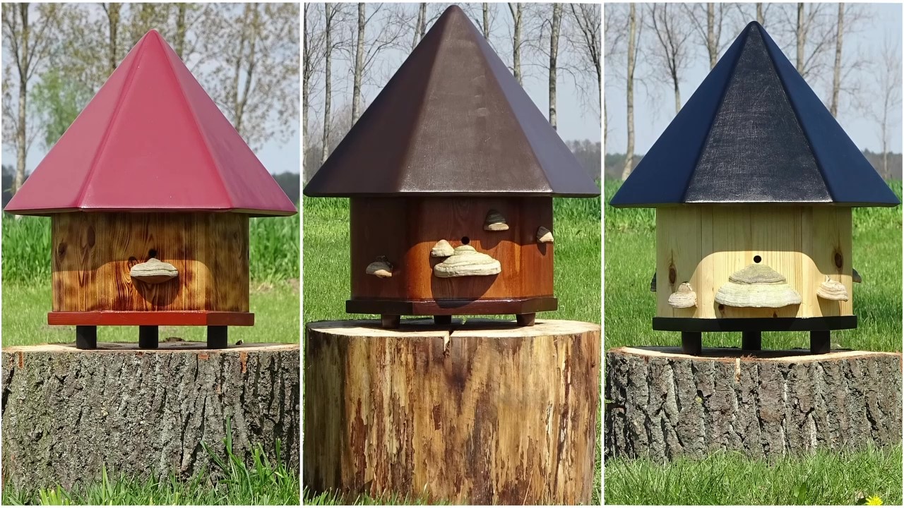 Trzmiele do zapylania sadów i upraw polowych