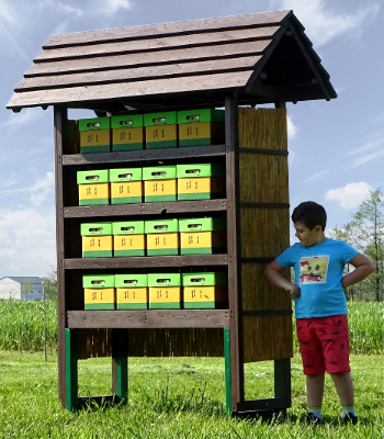 Trzmiele do zapylania sadów i upraw polowych